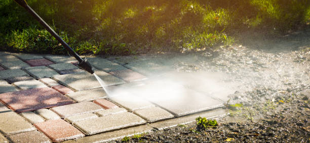 Best Fleet Vehicle Washing  in Curtice, OH